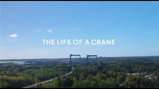 Life of a crane: from idea to impact
